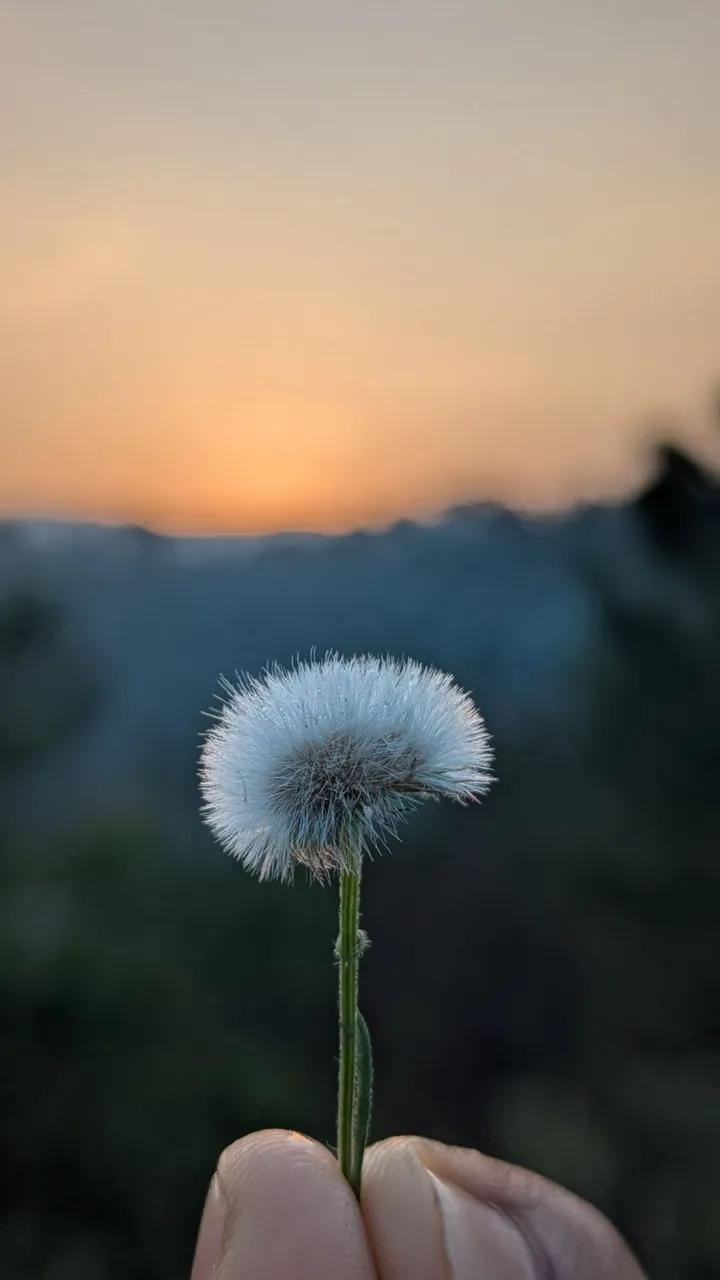 1000152050.jpg