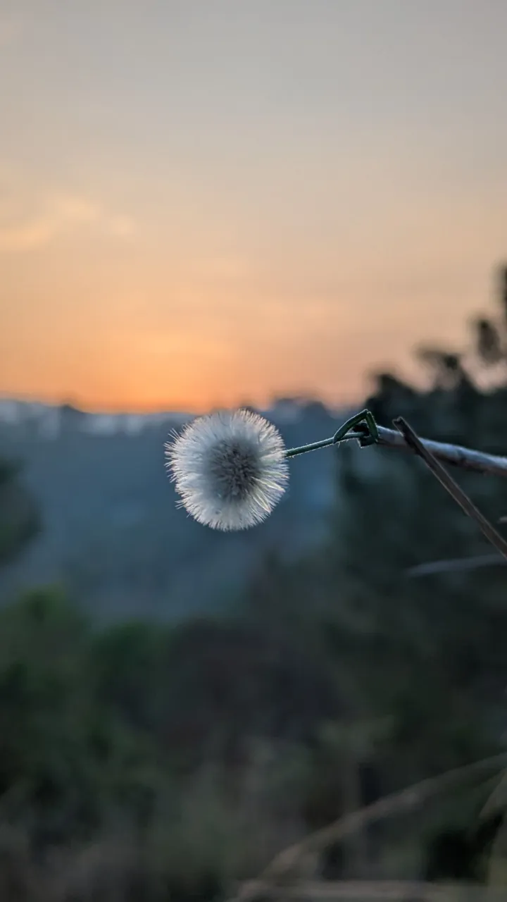 1000152052.jpg