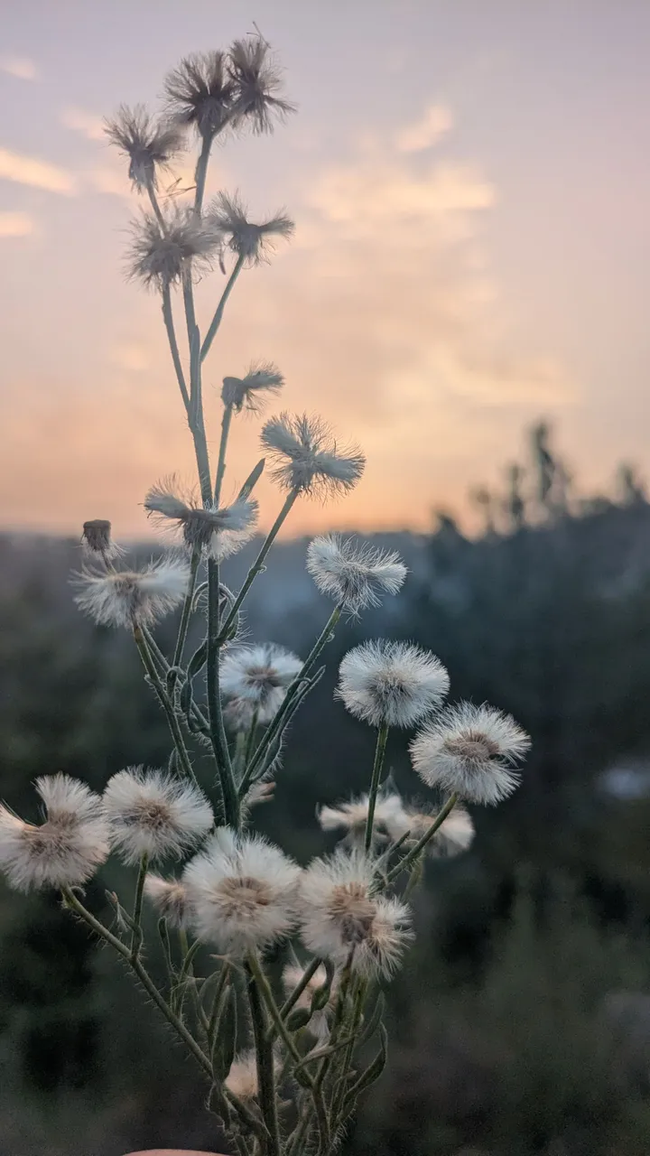 1000163960.jpg