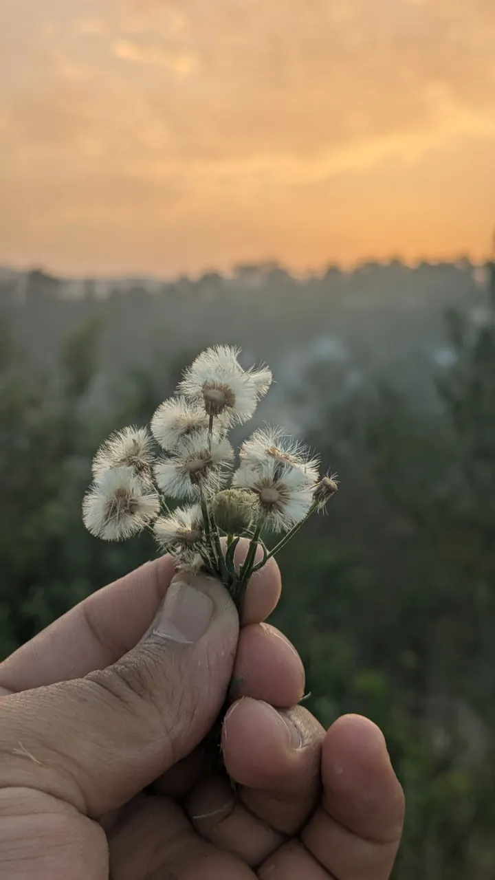 1000163964.jpg