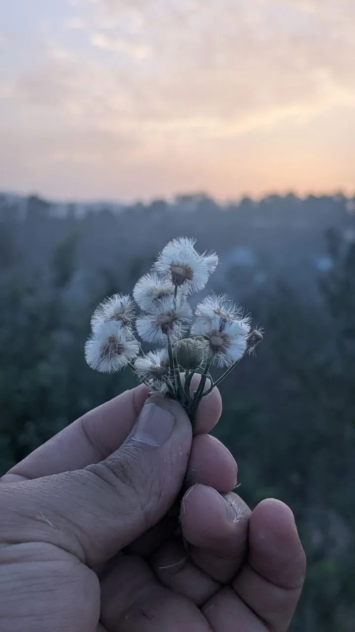 1000163963.jpg