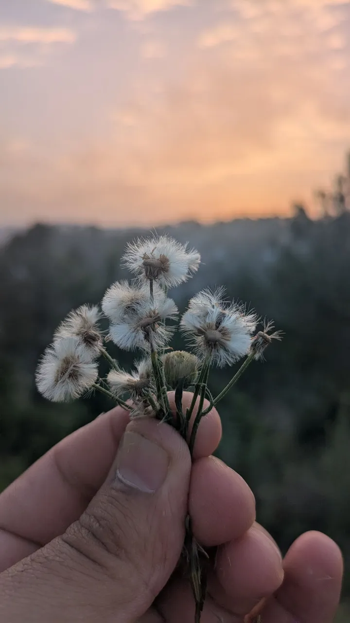 1000163961.jpg