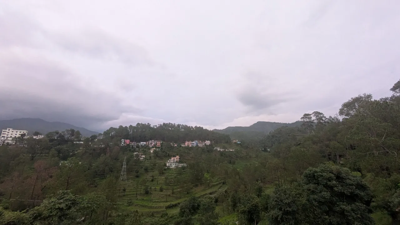 1000172891.jpg