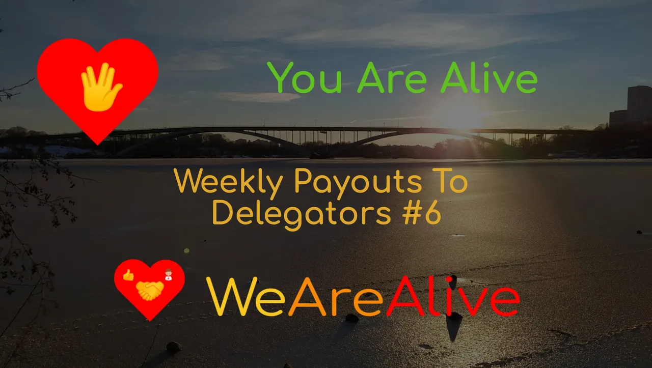 aliveandthriving_1_original-6.jpg