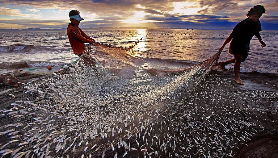 fishing-at-saint-martins-island-m-yousuf-tushar.jpg