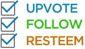 DQmVxsgFsYb9auNP1yVHcah6V4q2bAdeWfiV1BRMEuweh37.jpg