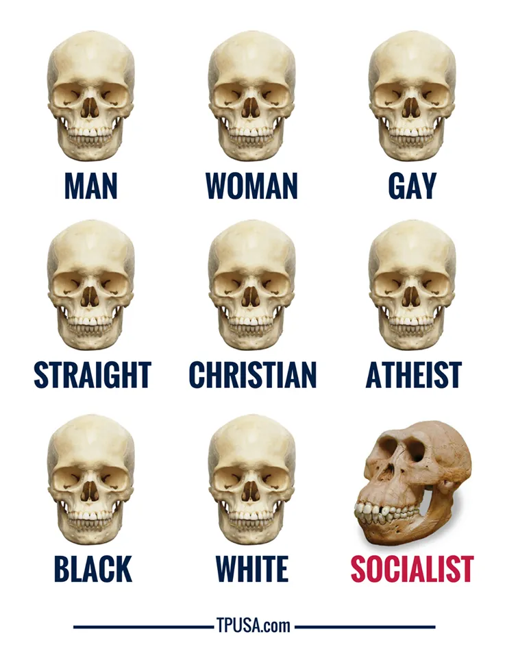 29432528_1610694945645882_6426402944727384064_n.png