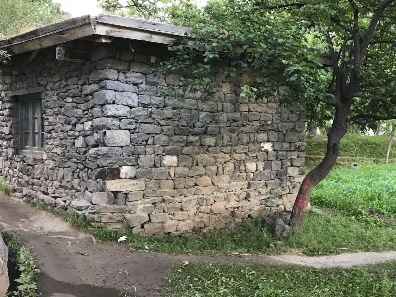 DQmUHZi1AqBBbuT15aVH977rMrzo8vtqDEsQaoKrysYoJo9.jpg