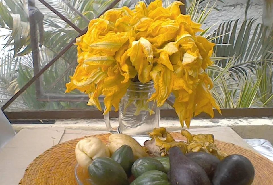 flor de calabaza y hongos de encino.jpg