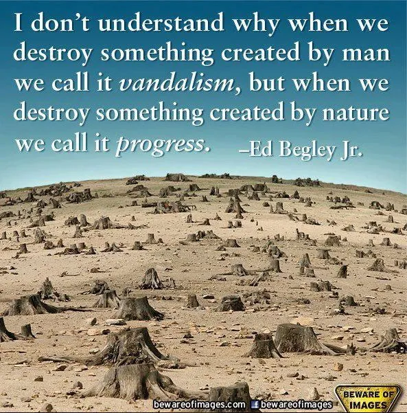 vandalism and progress