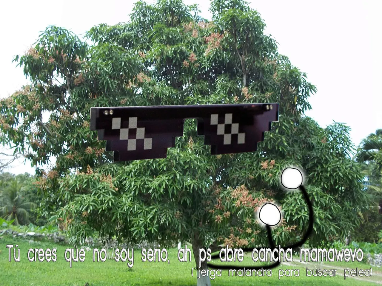 11.png
