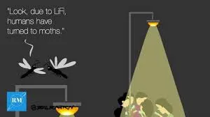 l3.jpg