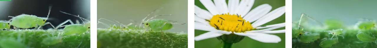 10.PNG