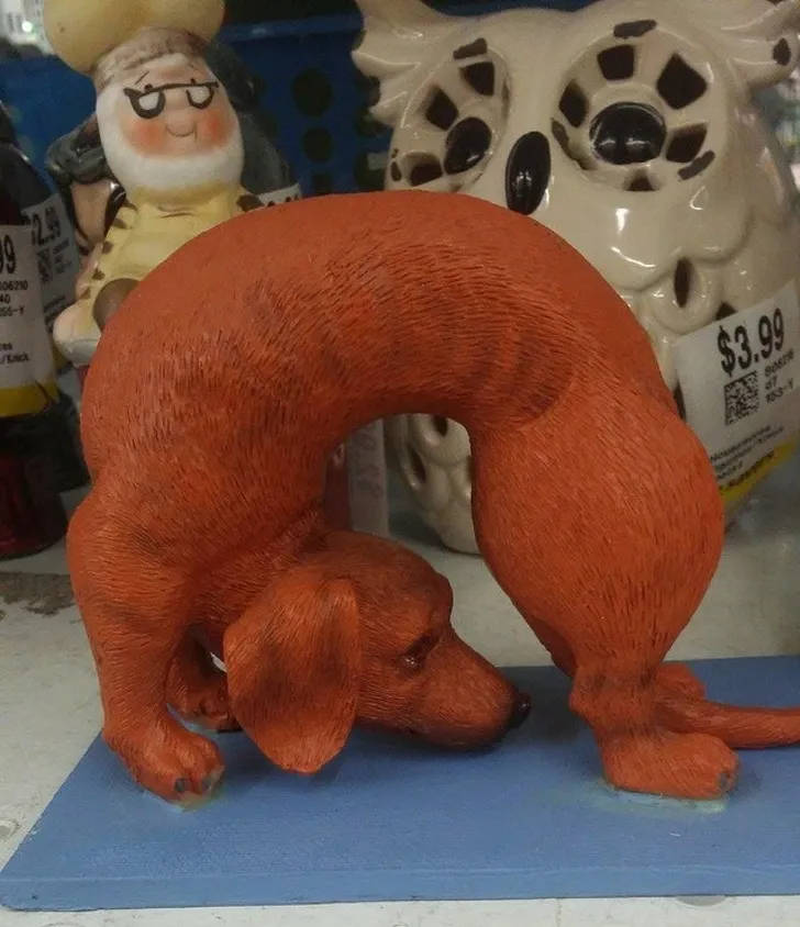 a5.jpg