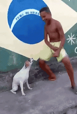 25.gif