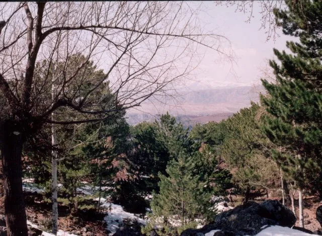 bg.jpg
