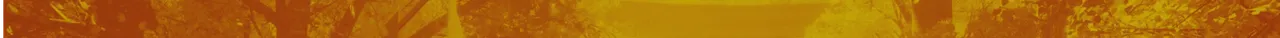 se.png