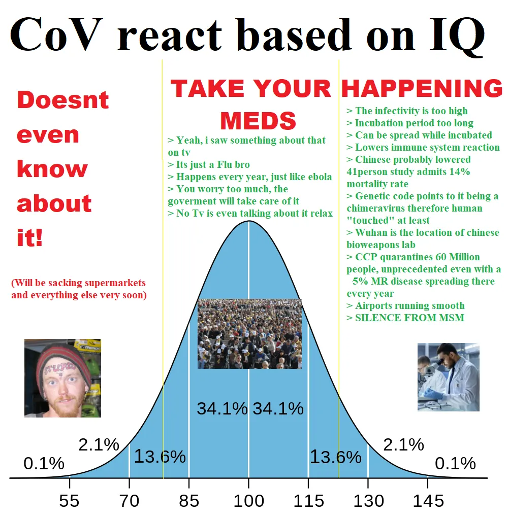 IQ.png