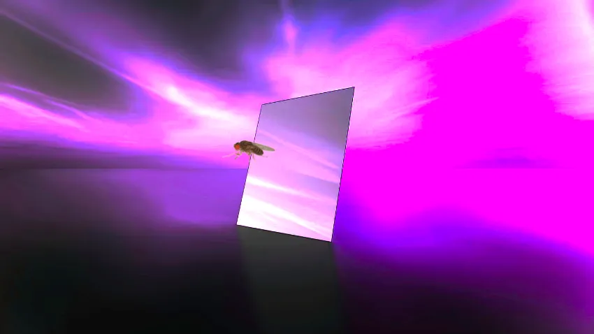 b2.jpg