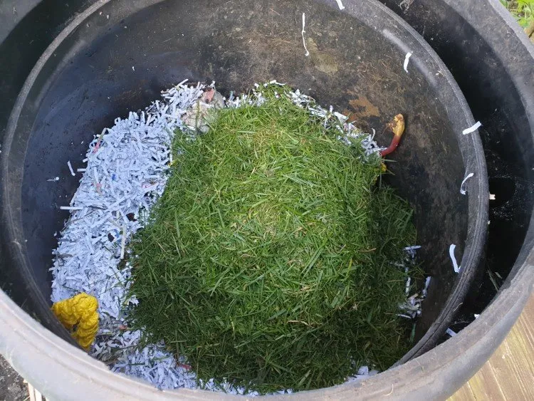 composting in the garden