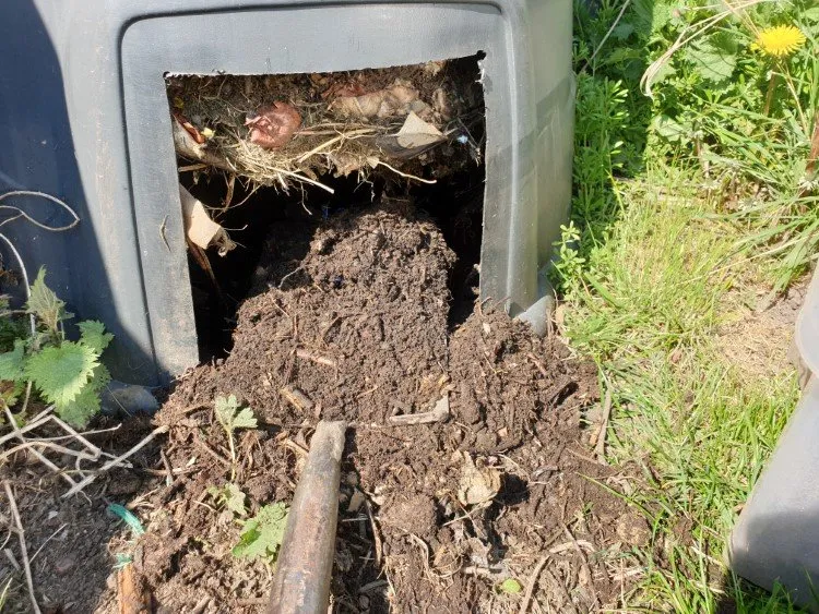 Emptying the compost bin