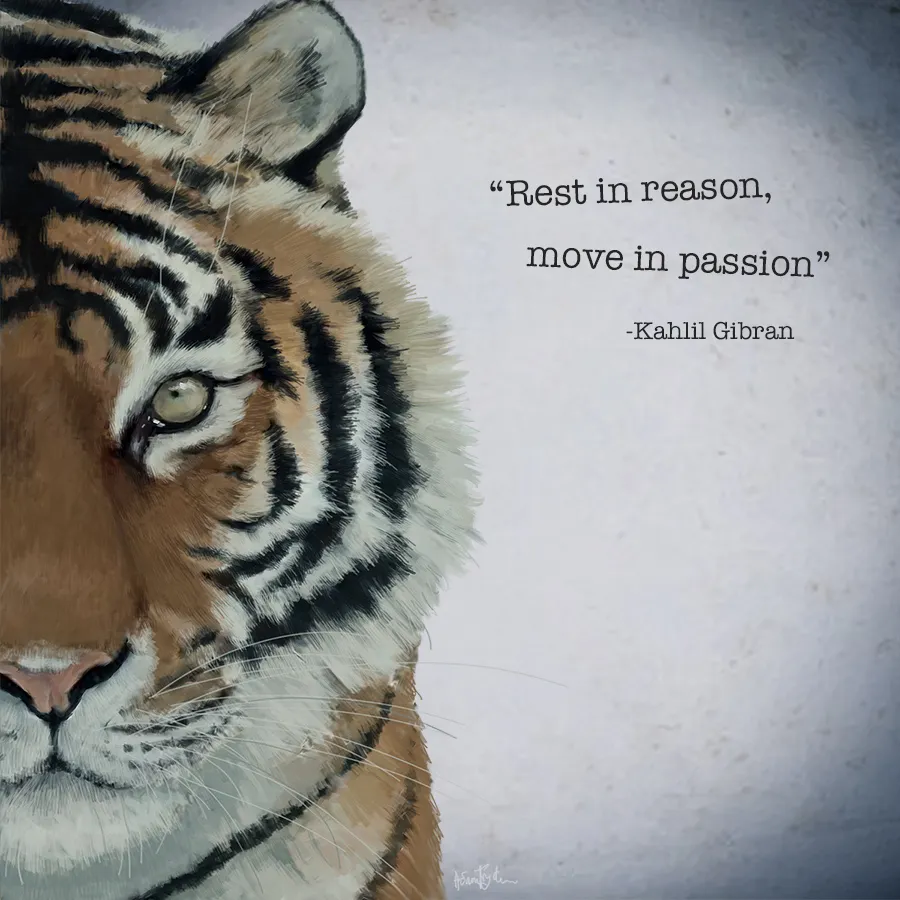 Kahlil tiger sm.jpg