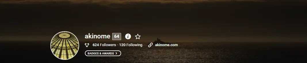 Akinome Profile.png