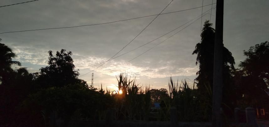 IMG20200921180321.jpg