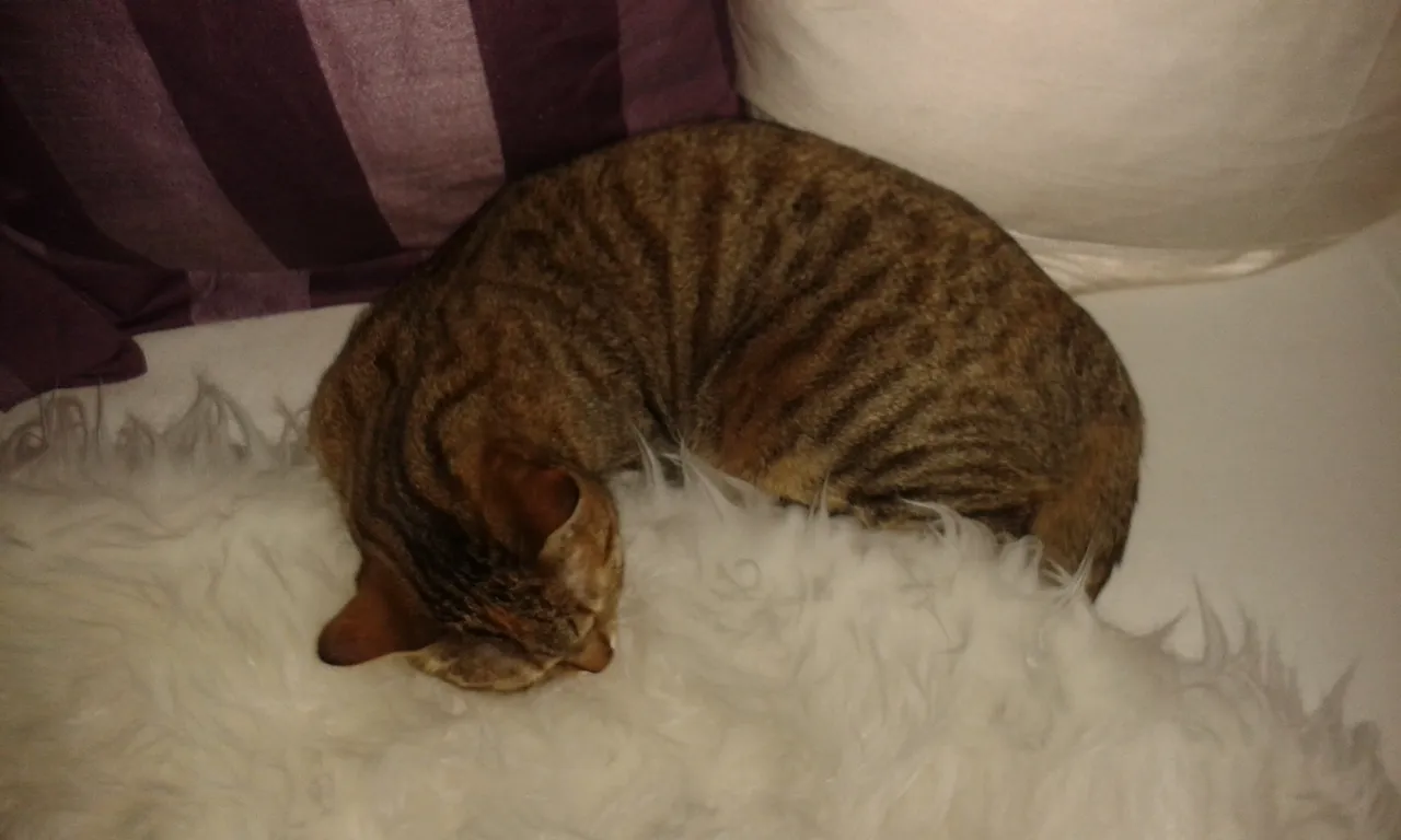 20160524_184325  Kopie.jpg