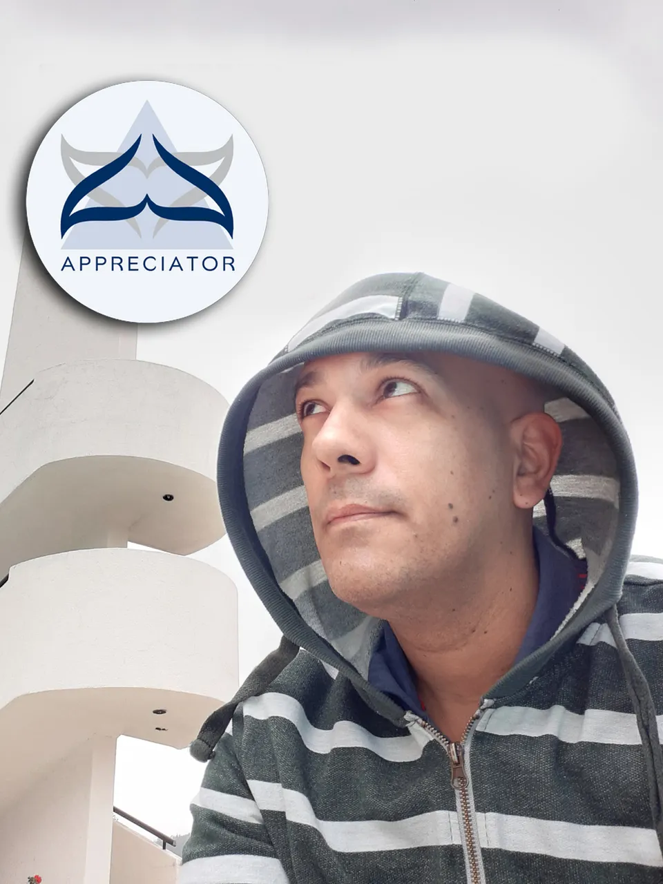 portada appreciator.jpg