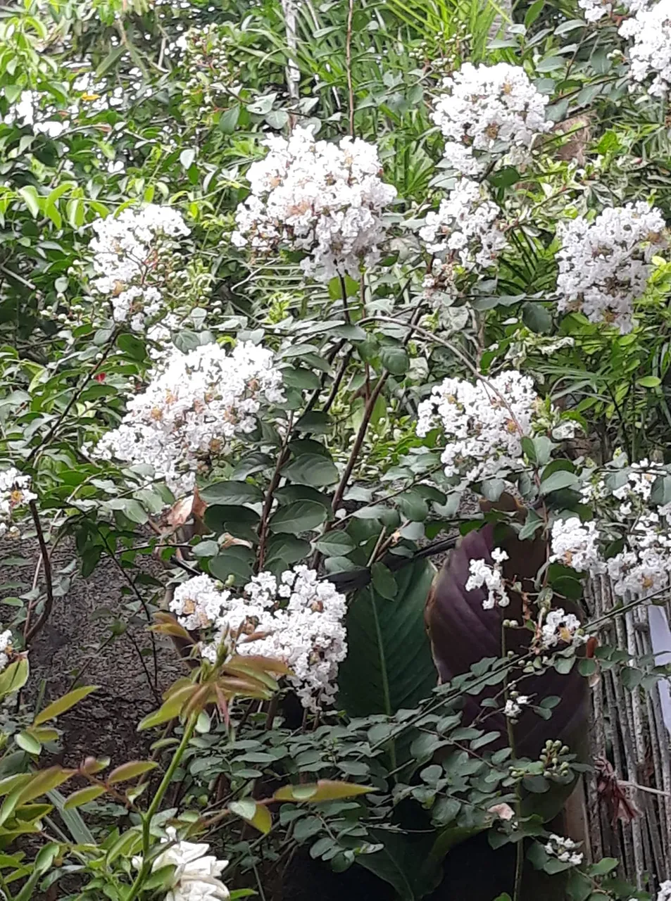 flower crepe mantle.jpg