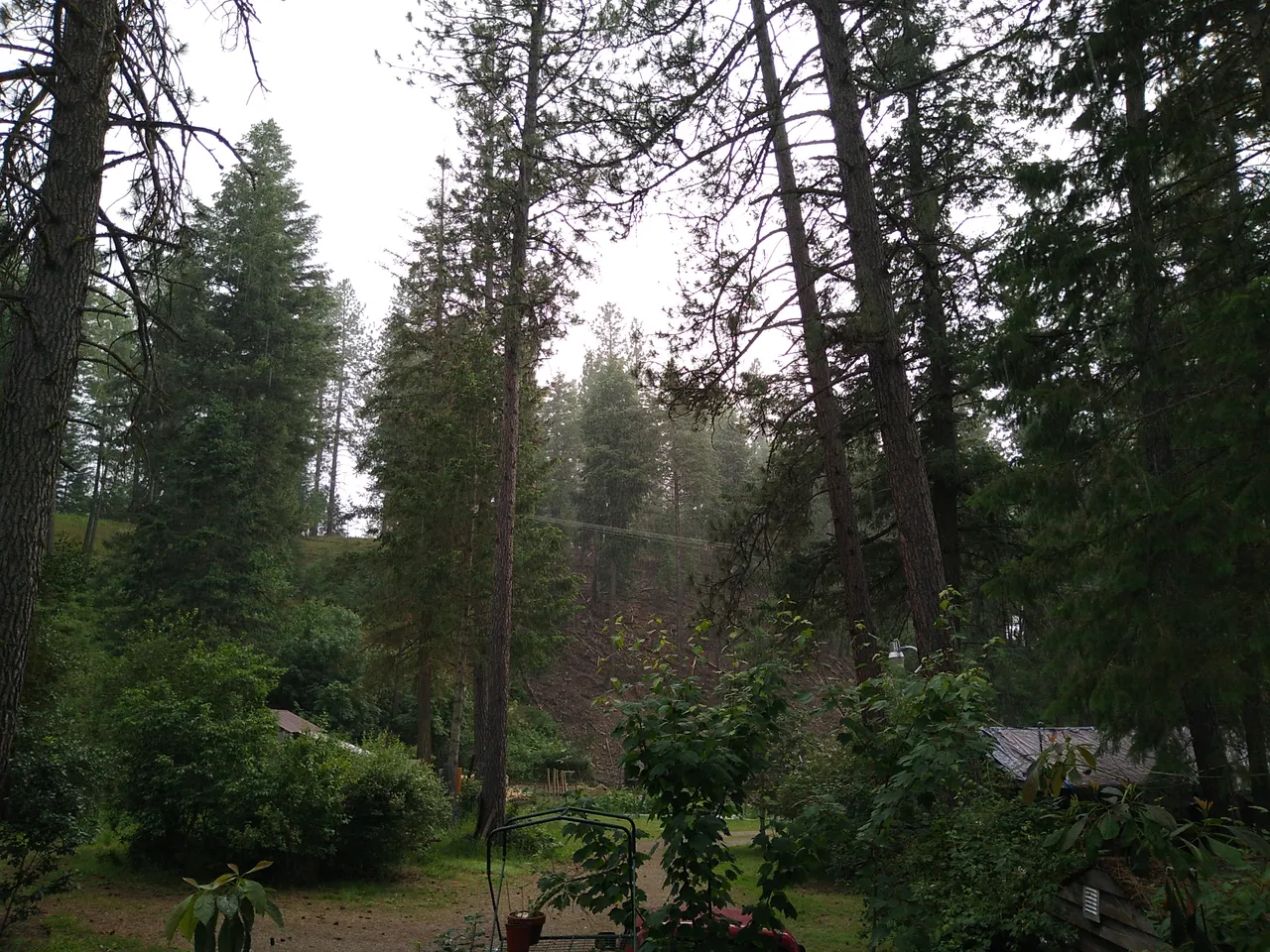 IMG_20200630_133732.jpg