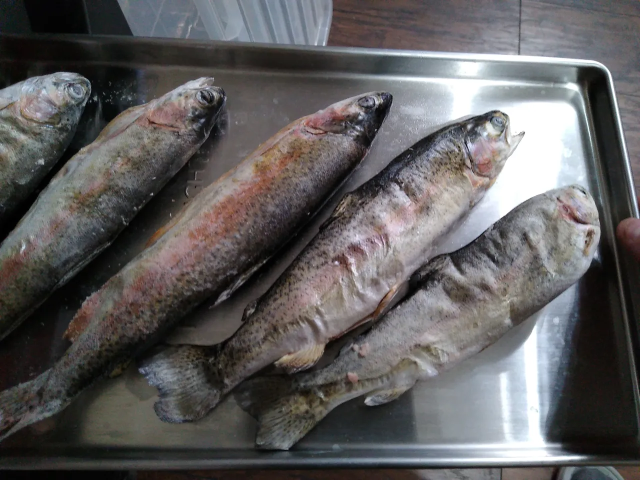 IMG_20201220_160530.jpg