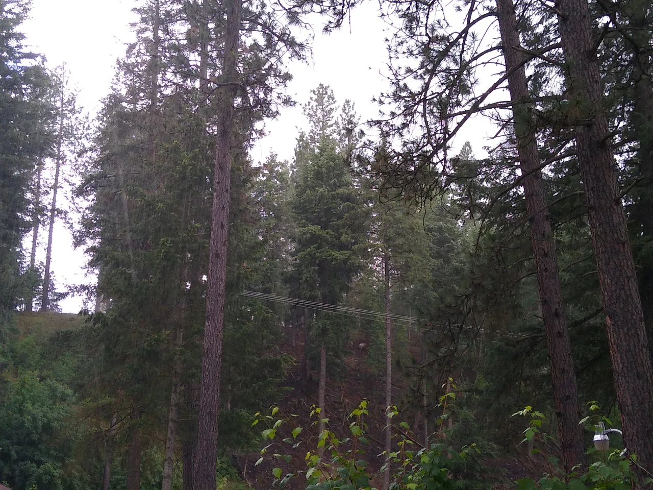 IMG_20200630_183604.jpg