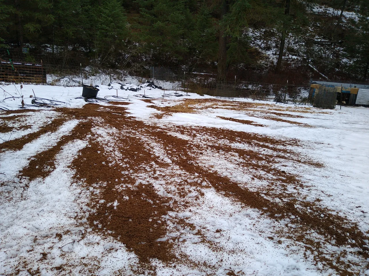 IMG_20201218_110842.jpg