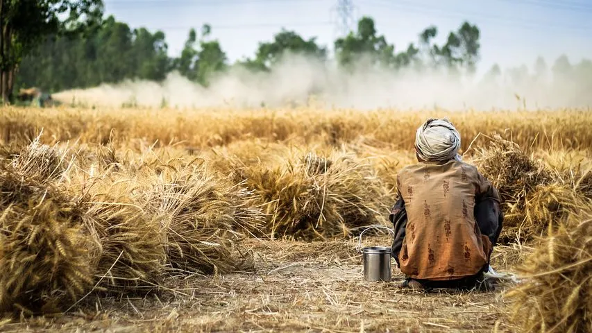 farmer2260636__480.jpg