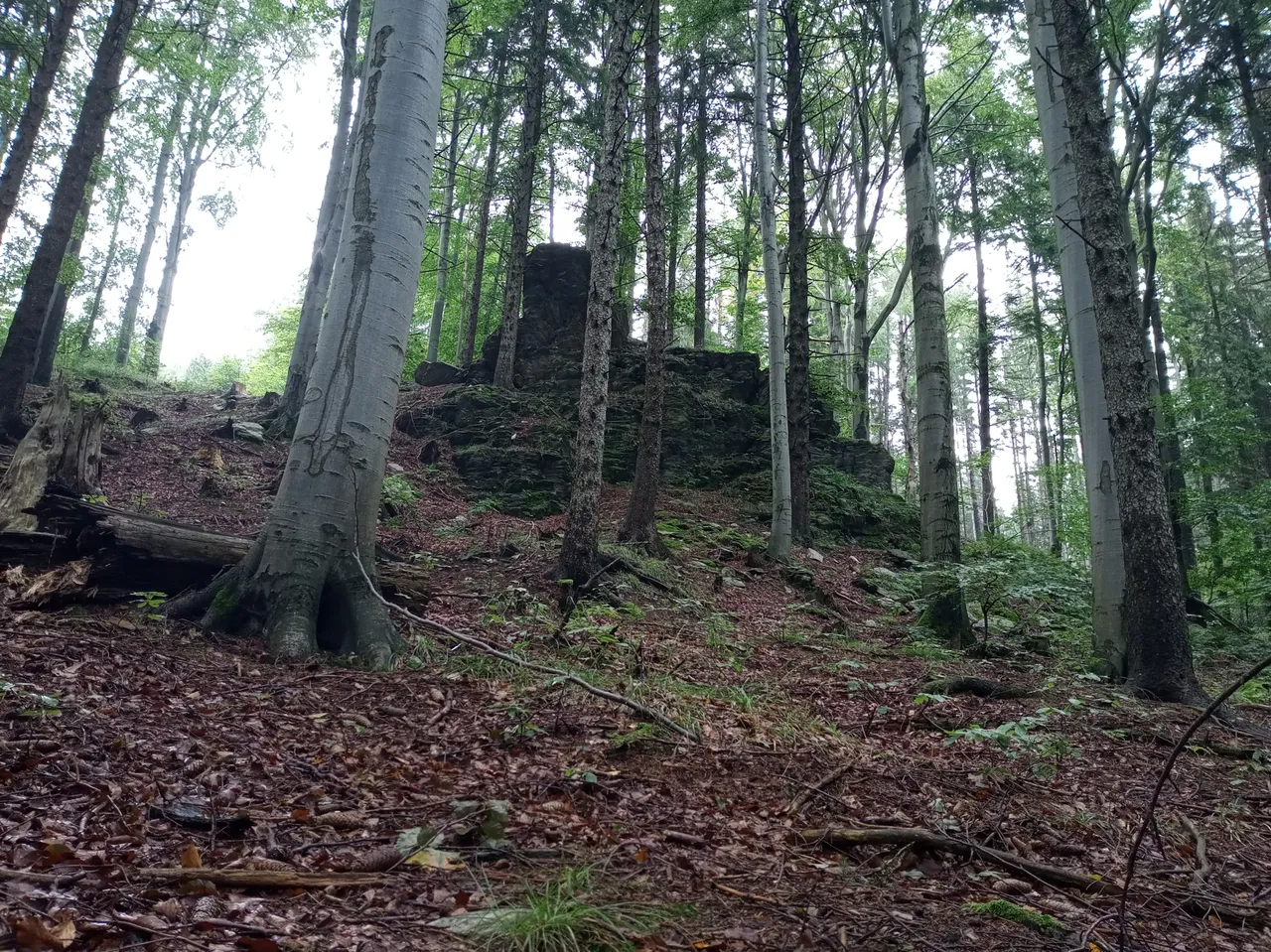 IMG_20200906_090543.jpg