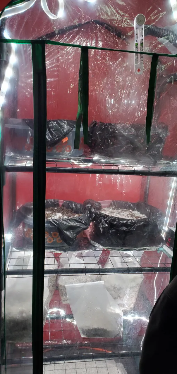 20201215_110013.jpg