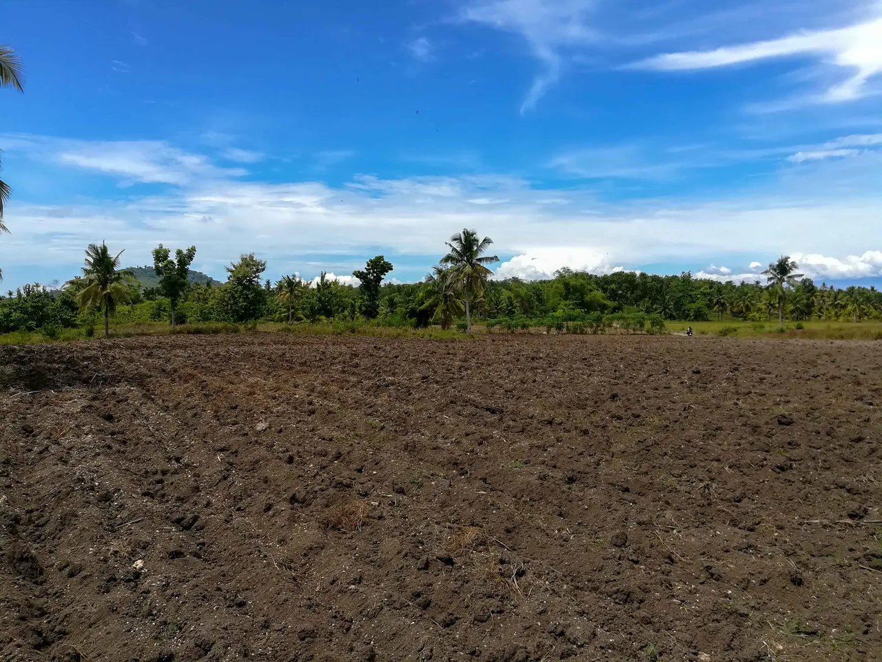 The View From One End Of The Land