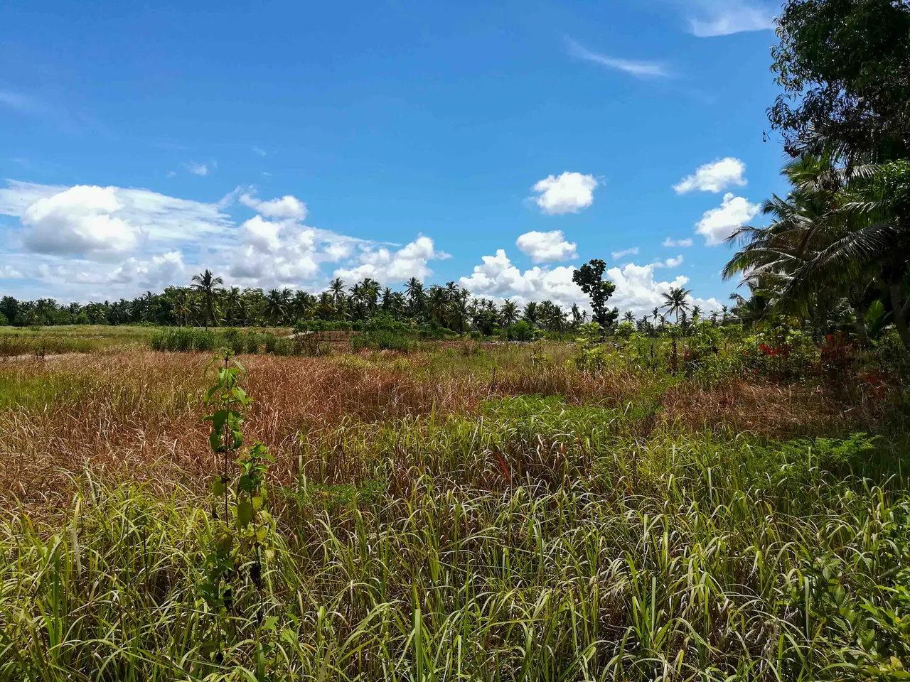 The View From The Other End Of The Land