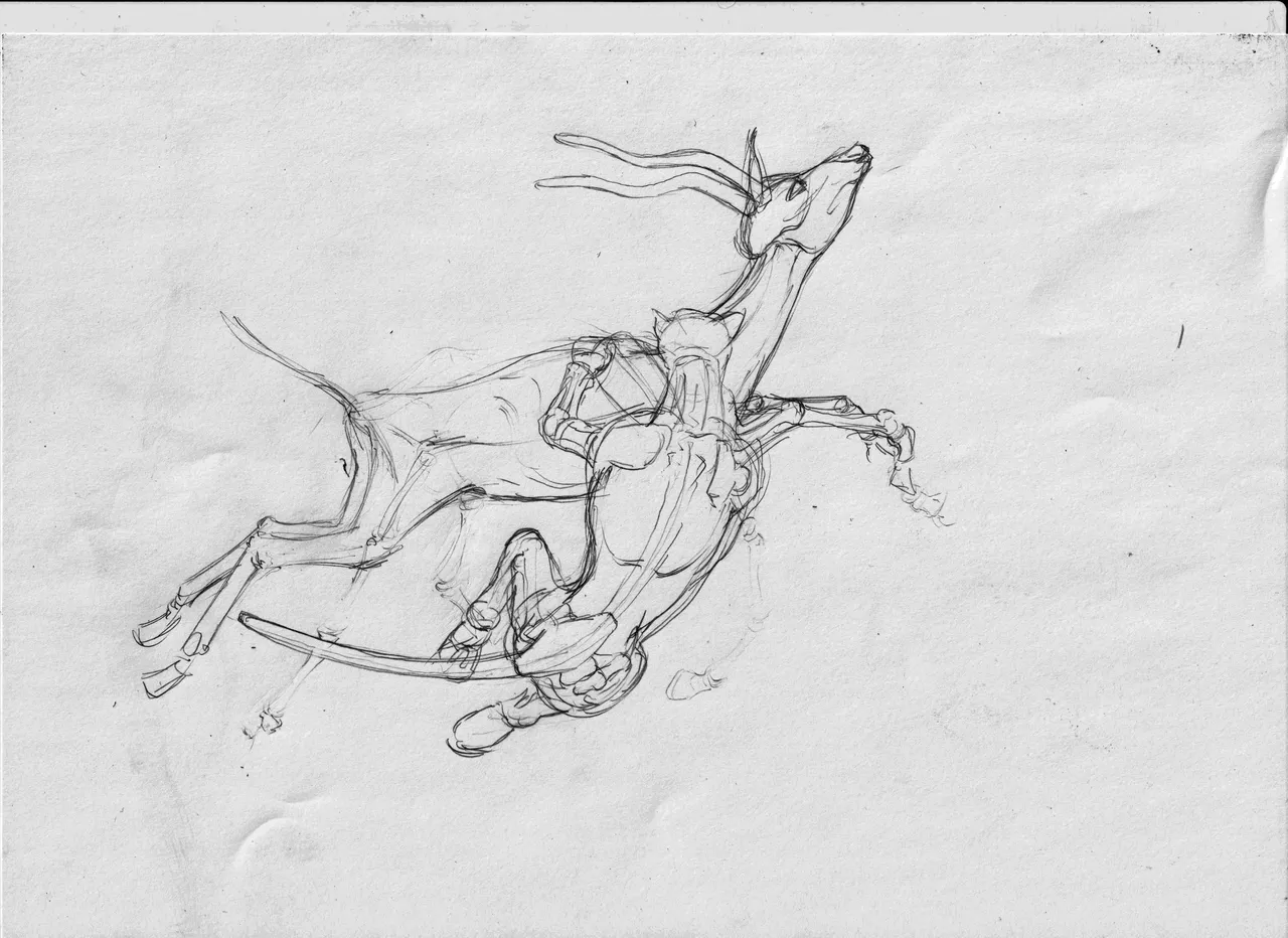 impala boceto 1.jpg