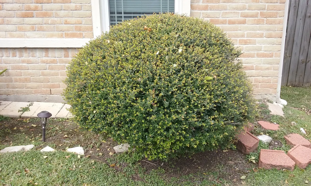 20191113_121245.jpg