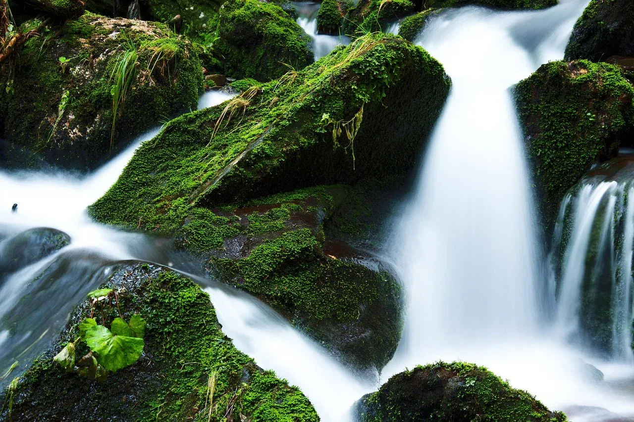 creek21749_1280.webp