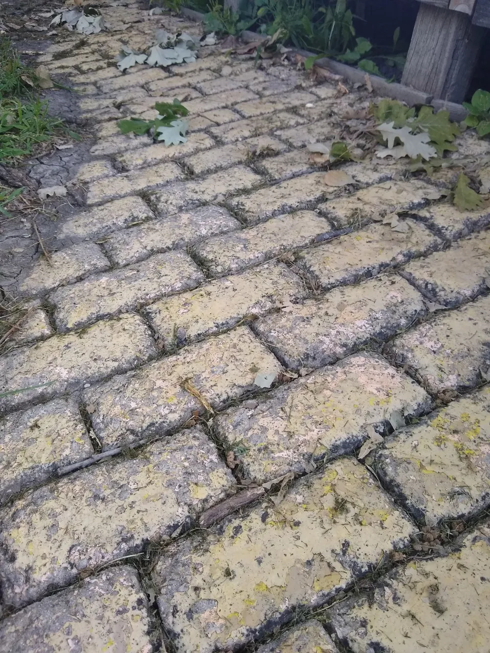 yellow brick road.jpg