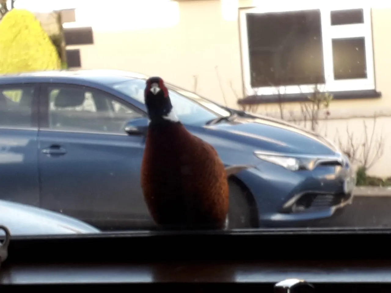 IMG20201214WA0001.jpg