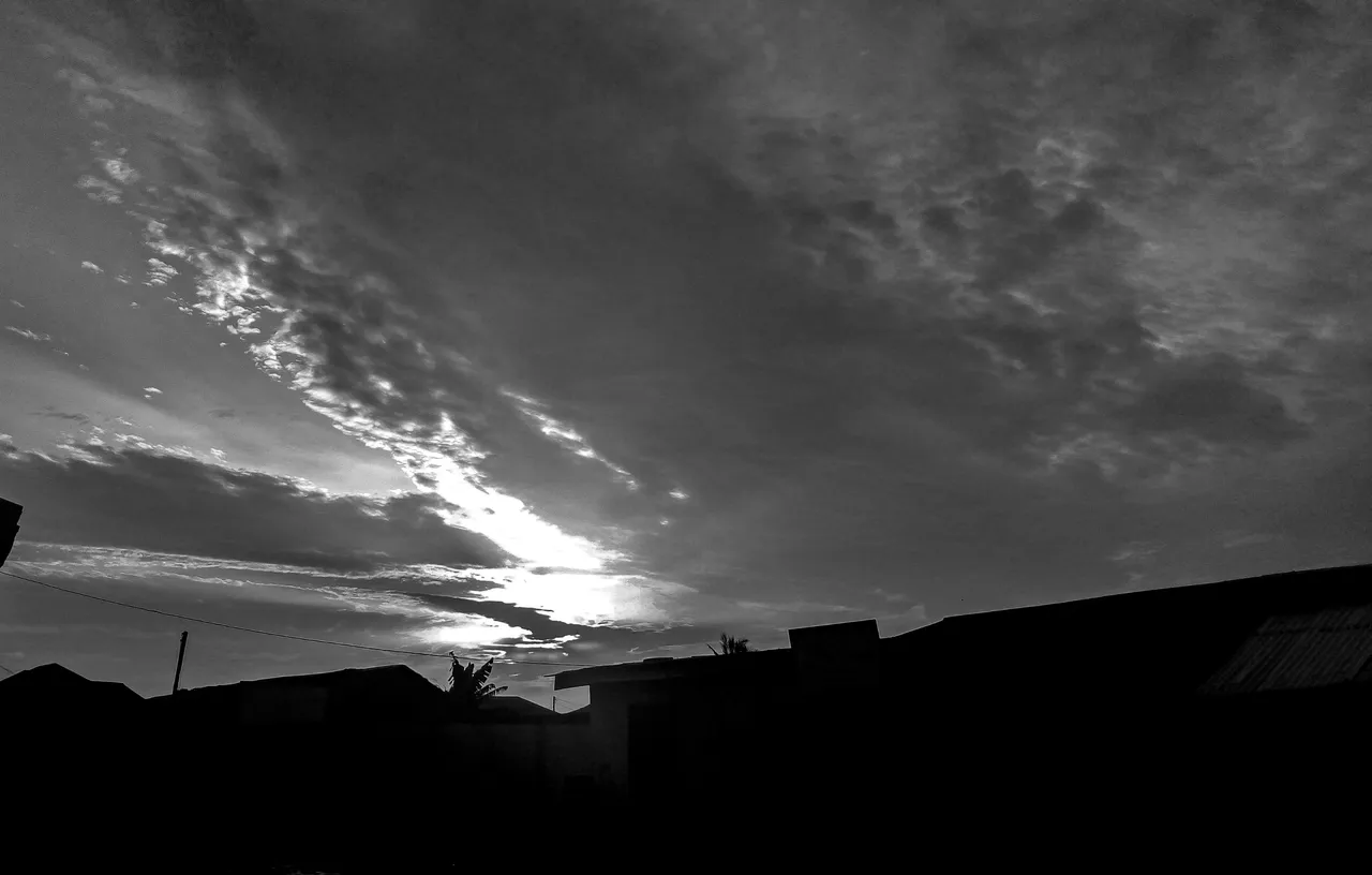 IMG_20200628_183840_5.jpg