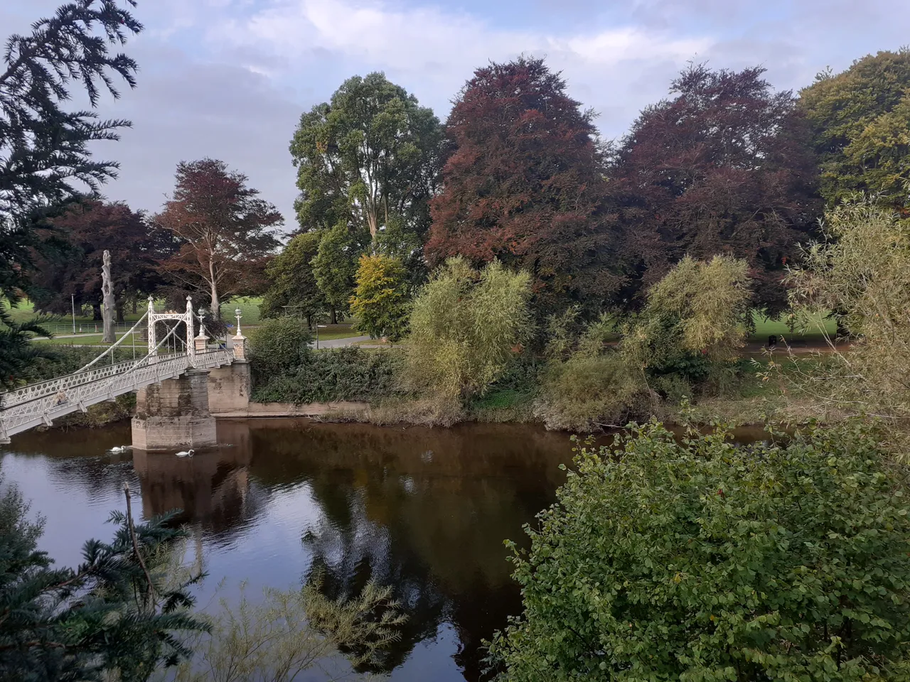 20200918_074203.jpg