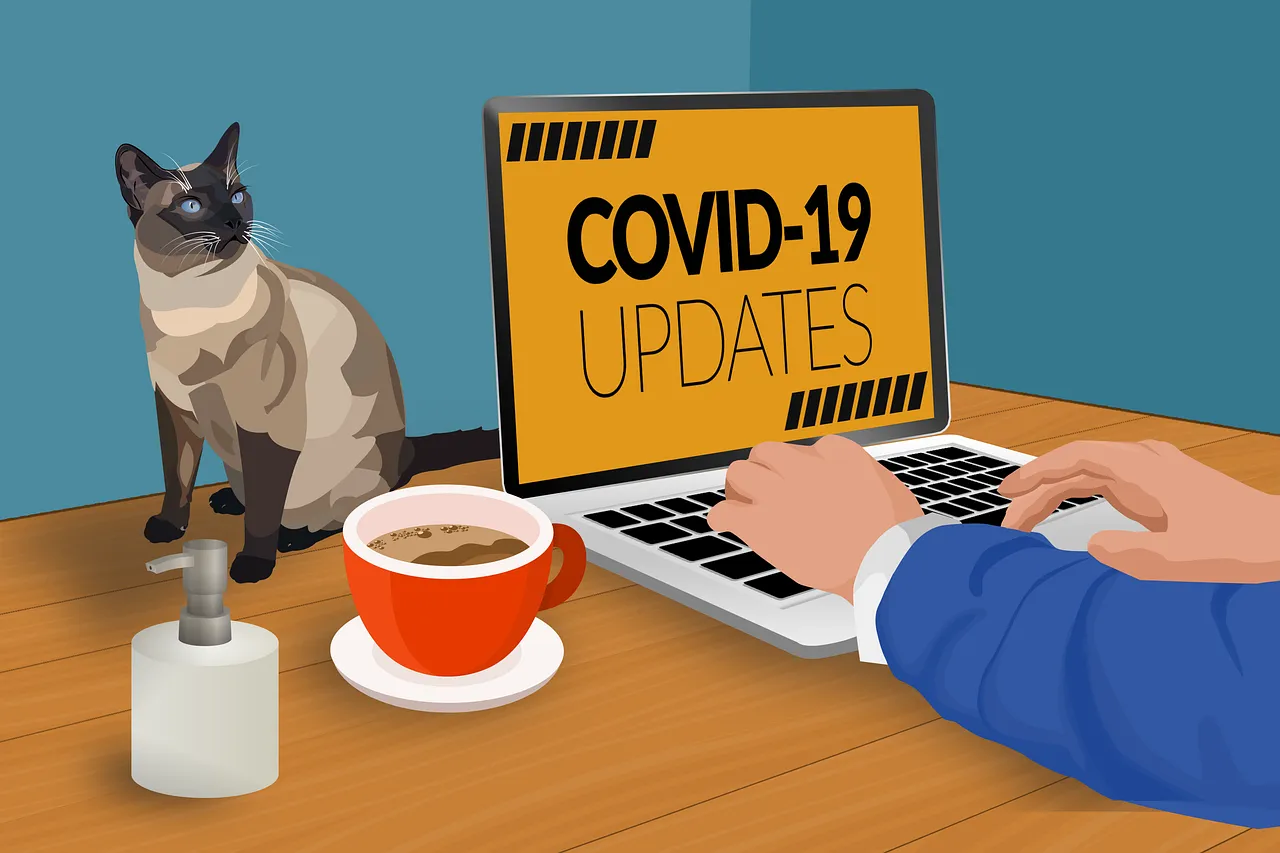 covid194938932_1280.png