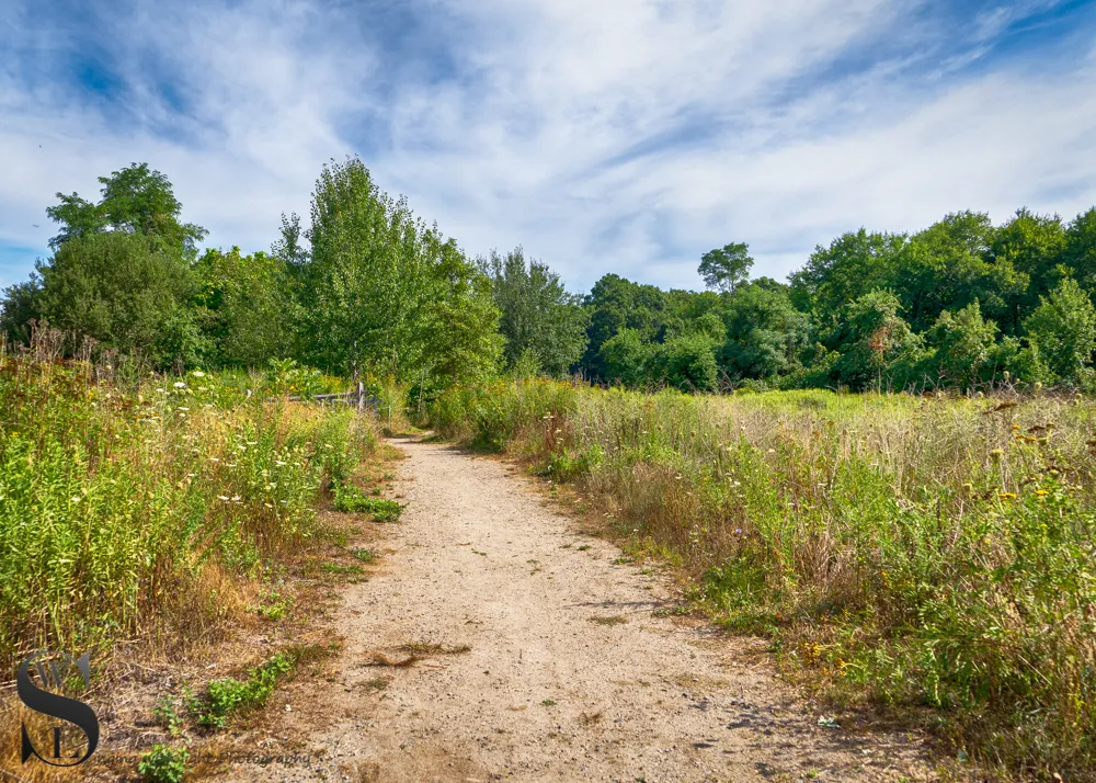 WW sawmill walk_4.jpg