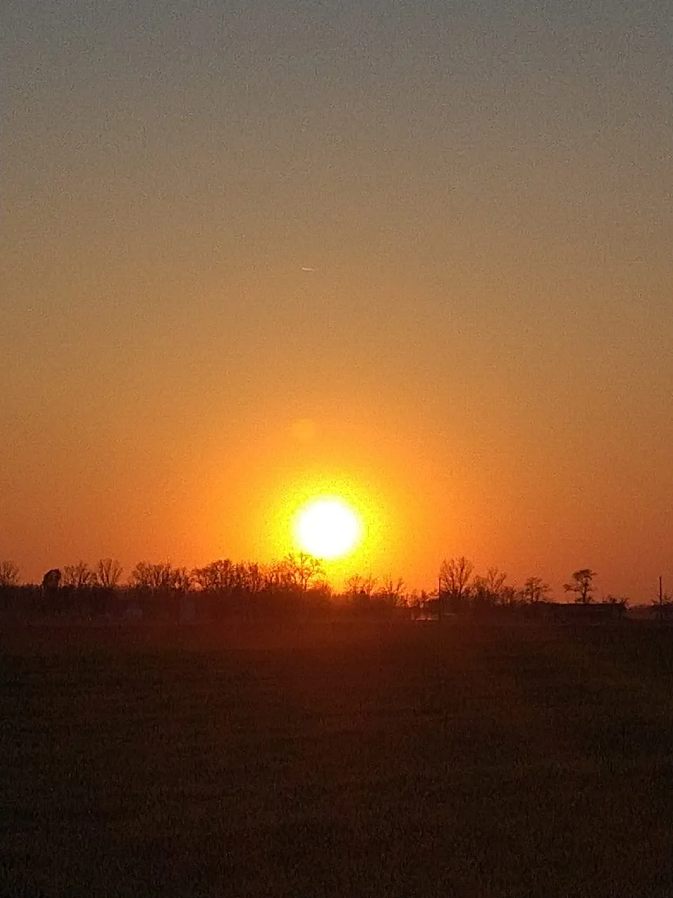 IMG20200402WA0005.jpg